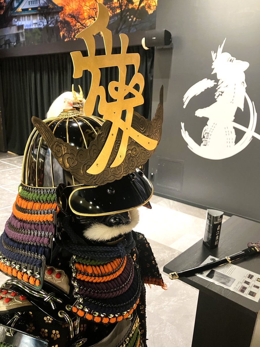 TKTS_ttk's tweet photo. ＼ 入場券取扱中！ ／
迫力ある甲冑や美しい着物など見どころ満載です👘✨

🎟️甲冑博物館＜期間限定開催 特別展＞
　大人 1,500円／子ども1,000円 (入館のみ）
　※甲冑・忍者・着物の着付けプランもあり
　
🎁TKTS来場特典：matcha LOVE PET 190ml（伊藤園）

詳細☞ https://t.co/q33QNSbi7E https://t.co/iEj0jIrekV