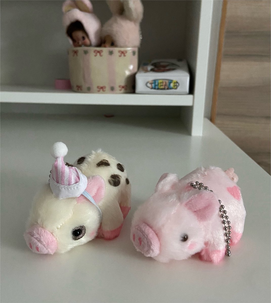 beginsism's tweet photo. โต้งแอน แบ้งเอย อู๊ดส์ อู๊ดส์ 

꒰ঌ(𐭅” ॑ ॑”)𐭅.. .  . 🐖.. .  .  .🐖 https://t.co/sJgjnusStL