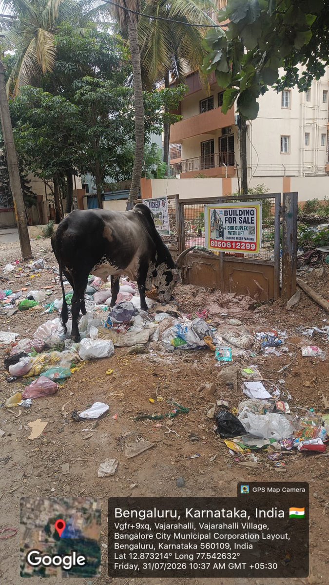 MCF_yourvoice's tweet photo. @ICCCBengaluru @GBAChiefComm @GBA_office drawing your attention to this never ending garbage black spot. Location- holiday village road, opposite govt primary school, Vajarahalli. Our repeated complaints to authorities to take action on littering has gone into deaf ears. https://t.co/XqDXBXzYEx