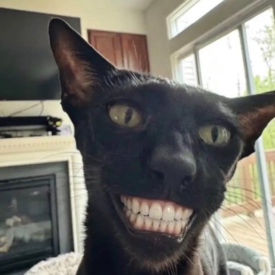 Rawhzy's tweet photo. #NewProfilePic https://t.co/CXN9Wy6pgZ
