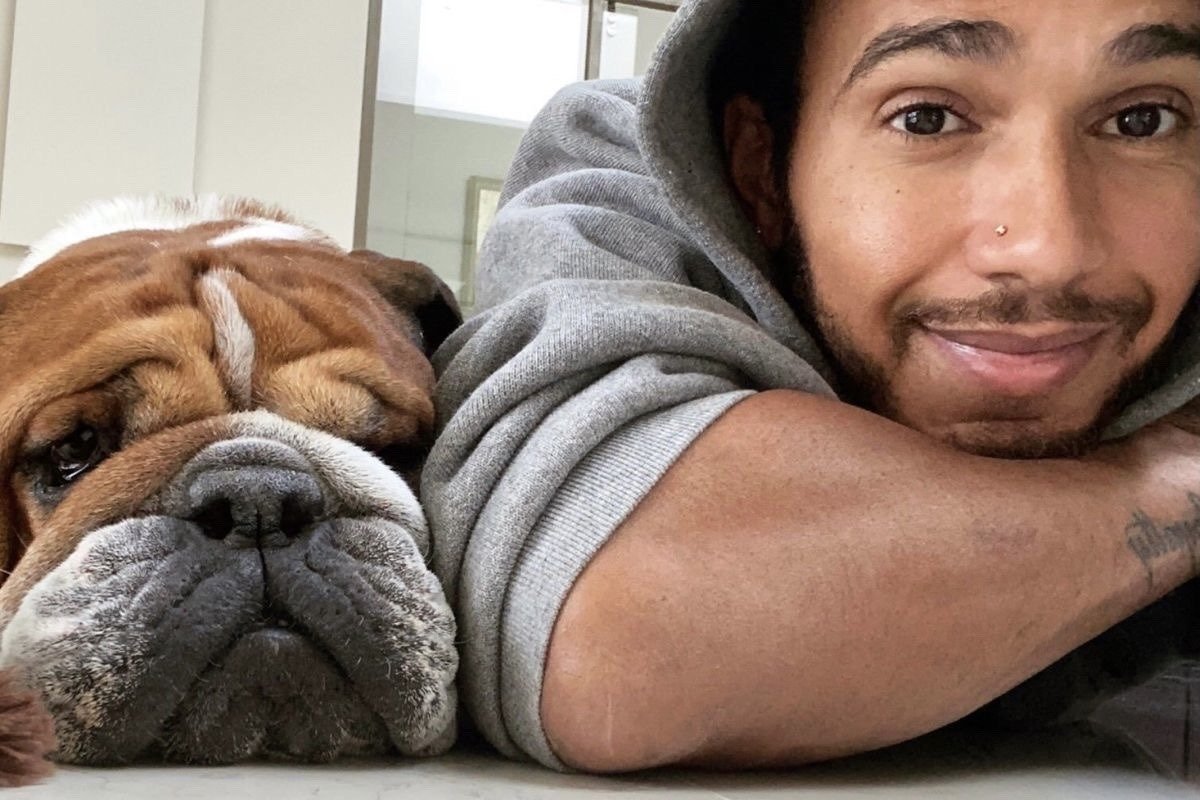 brithamiltons's tweet photo. @LH44Fanpage8 In all seriousness.. I can't stop thinking about Roscoe.. https://t.co/CtvuiN6Naf
