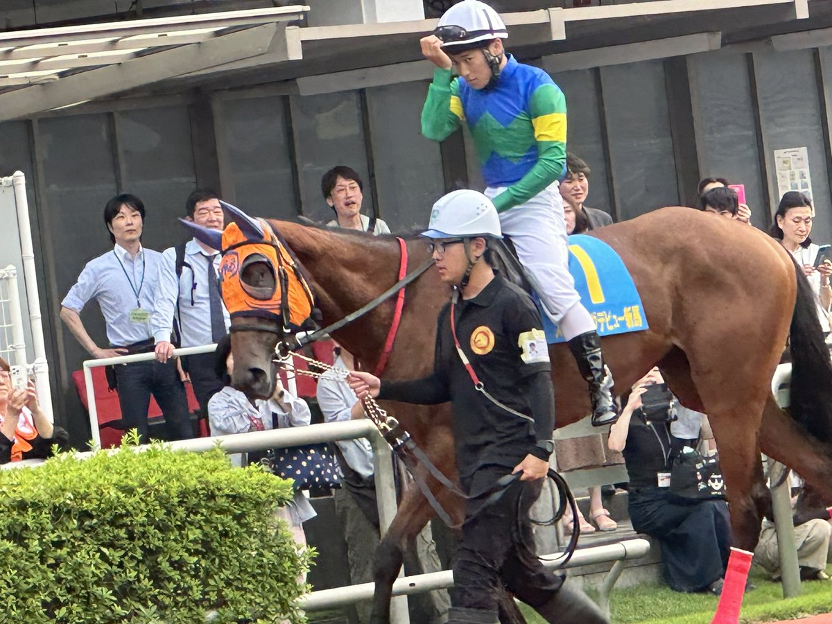 katoubaiku's tweet photo. 前から応援してた片目の福ちゃん。
川崎競馬場に現地応援にきた。ファンの人達がパドックにいっぱいで愛されてるんだなぁと実感。
ドコフクカゼ頑張れー！ https://t.co/u7HhlzG9G7