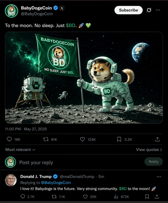 Baby Doge tweet media