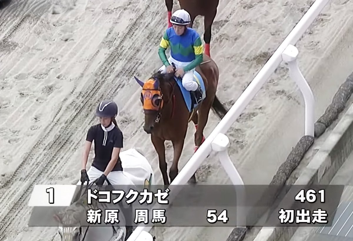 sasuke0319's tweet photo. 福ちゃん🧡デビュー戦🏇💨
パドックに福ちゃん🧡ファミリーのみんなが沢山…😭😭😭
福ちゃん🧡頑張れーー‼️✊✊
続く⬇️
#川崎5R
#ドコフクカゼ
#福ちゃん
#メイクデビュー https://t.co/Z2ORvMM1lP