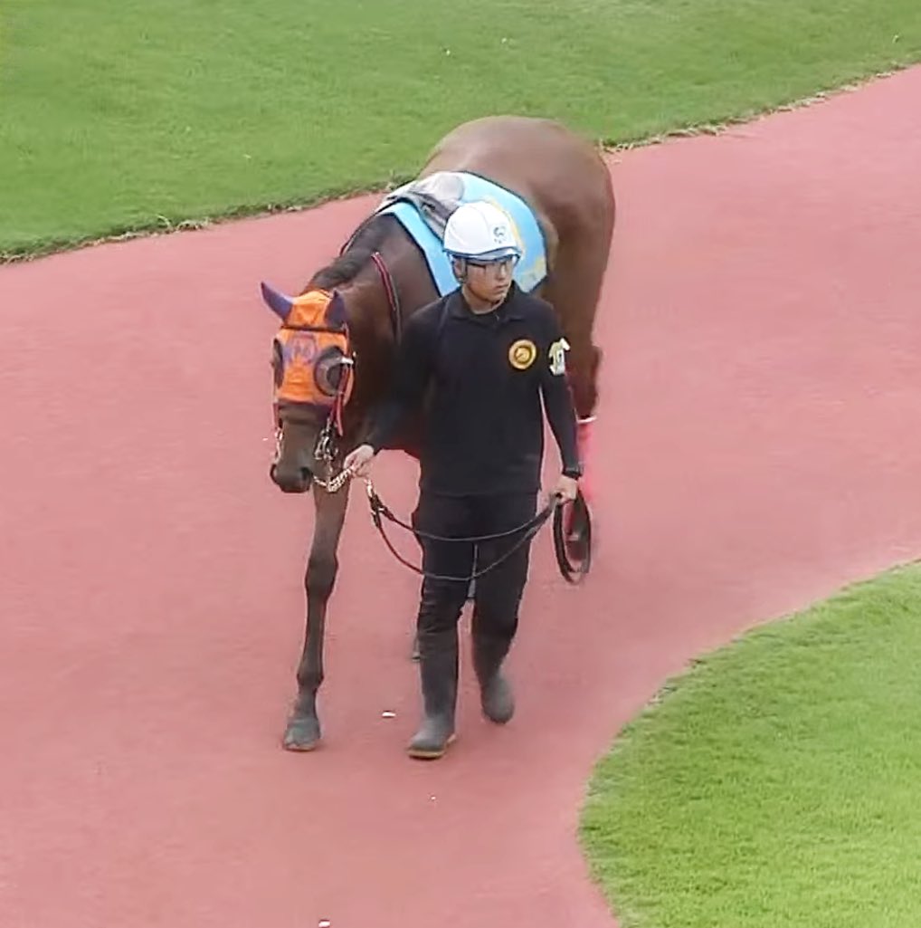 sasuke0319's tweet photo. 福ちゃん🧡デビュー戦🏇💨
パドックに福ちゃん🧡ファミリーのみんなが沢山…😭😭😭
福ちゃん🧡頑張れーー‼️✊✊
続く⬇️
#川崎5R
#ドコフクカゼ
#福ちゃん
#メイクデビュー https://t.co/Z2ORvMM1lP