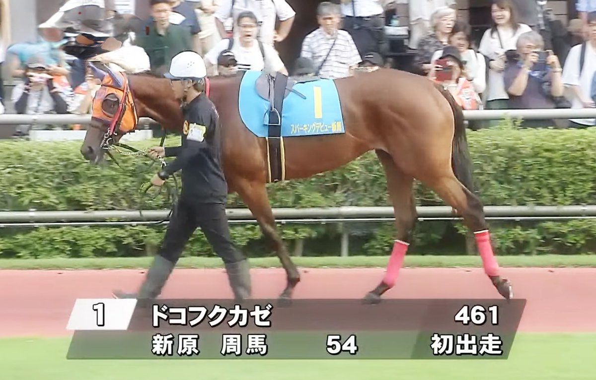 sasuke0319's tweet photo. 福ちゃん🧡デビュー戦🏇💨
パドックに福ちゃん🧡ファミリーのみんなが沢山…😭😭😭
福ちゃん🧡頑張れーー‼️✊✊
続く⬇️
#川崎5R
#ドコフクカゼ
#福ちゃん
#メイクデビュー https://t.co/Z2ORvMM1lP