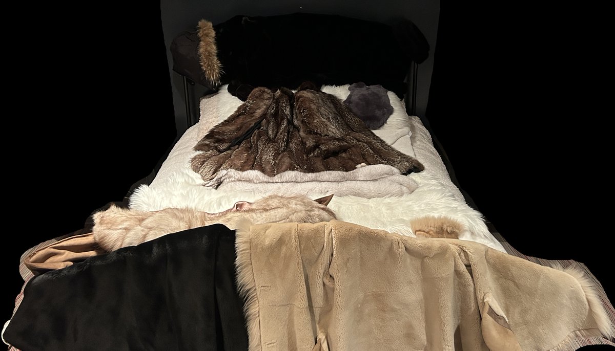wrapmeinfur's tweet photo. Fur Bed 😵‍💫 https://t.co/8gSFsaRrZp