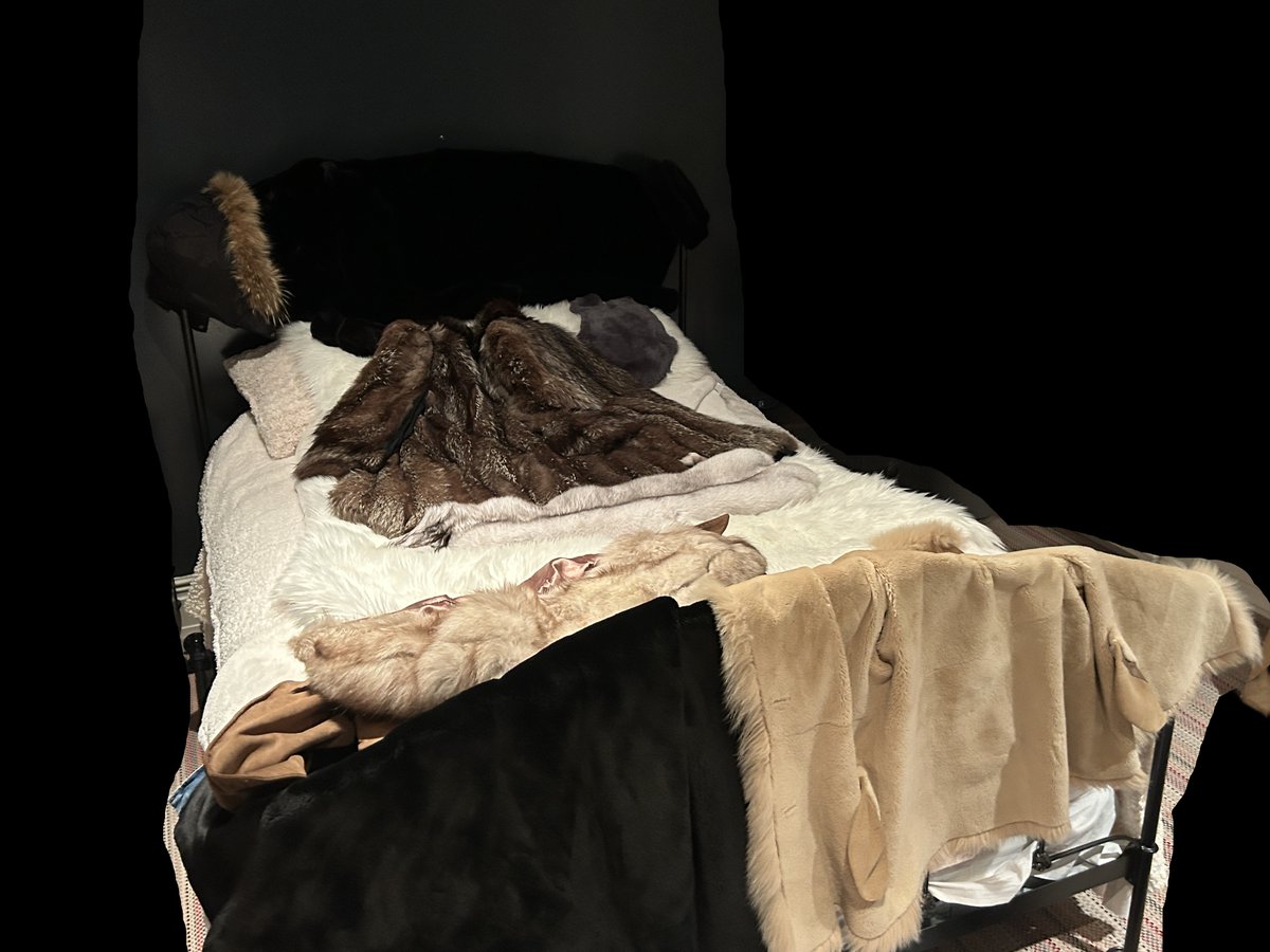wrapmeinfur's tweet photo. Fur Bed 😵‍💫 https://t.co/8gSFsaRrZp