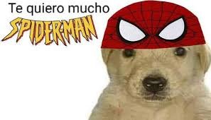 ROBERT101009's tweet photo. @ItzVarun_____ Comparto el sentimiento bruh ✋🏻😔👌🏻 https://t.co/SqSH6Mrnq8