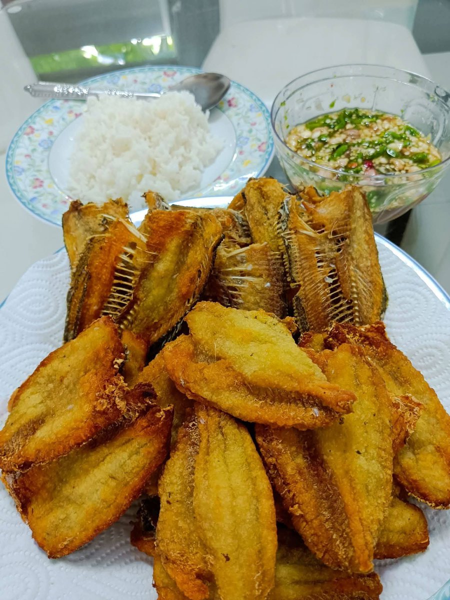 _Zaradrip_66's tweet photo. มาจ้าา https://t.co/Gxd1ixTLQc