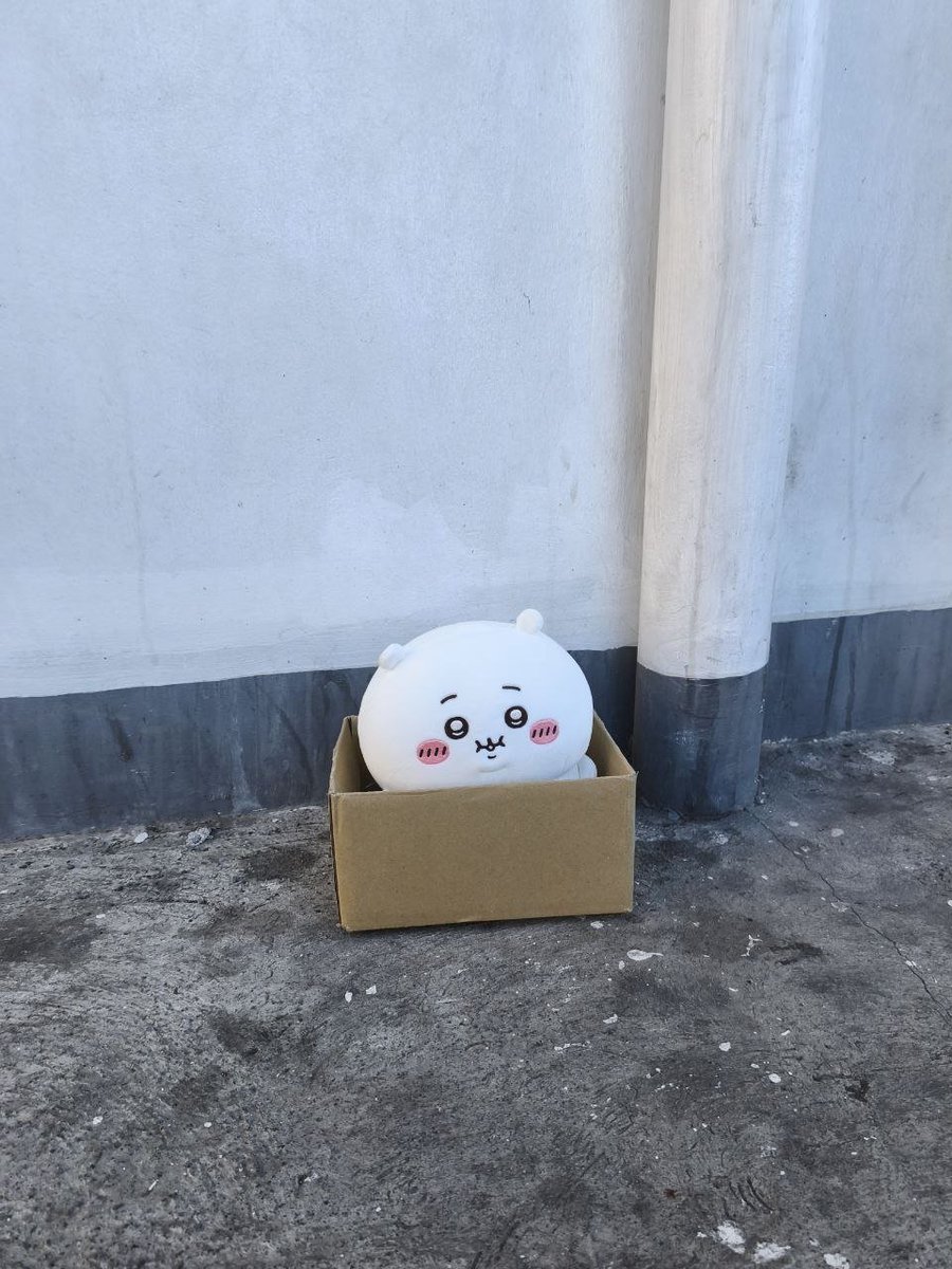 junihunn's tweet photo. why chiikawa homeless https://t.co/t6pZMn75su