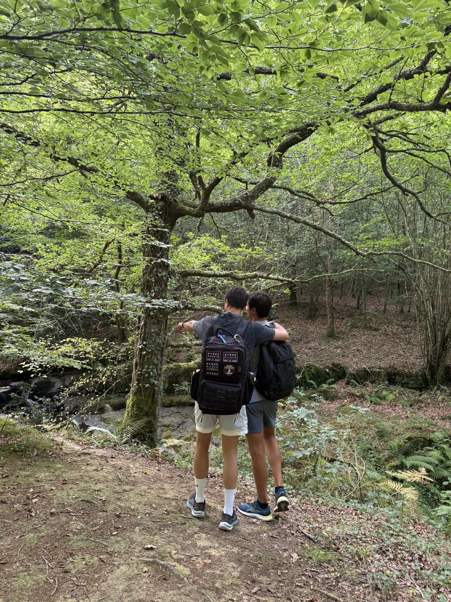 NachoFer_'s tweet photo. Valle de Cabuérniga, Cantabria https://t.co/Hok8ZNnntt