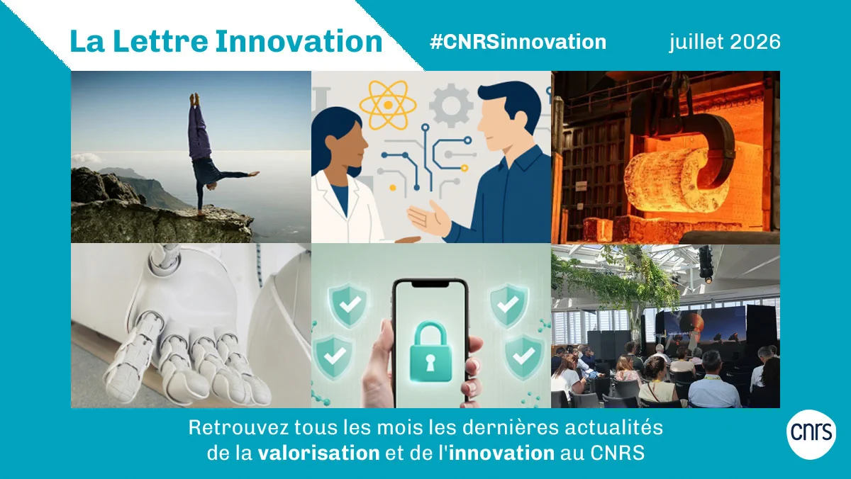 La lettre innovation