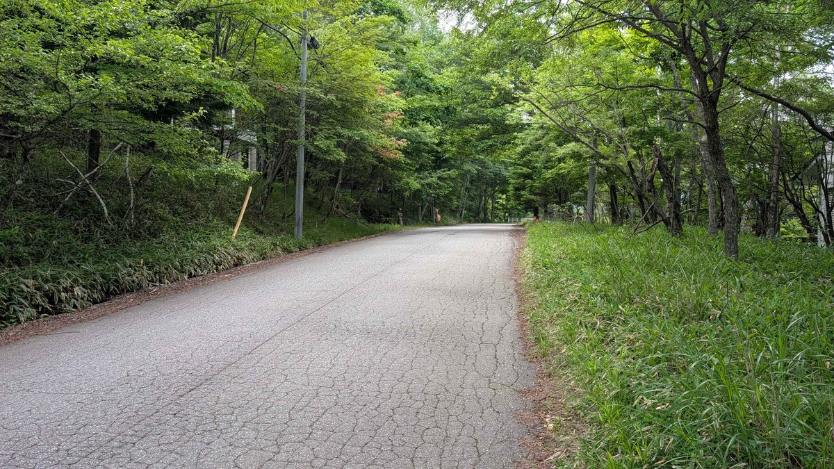 tei_global's tweet photo. 視線を感じたと思ったら🦌 https://t.co/BYqhsLHhOY