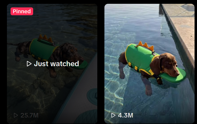 neko_sol_'s tweet photo. There is a dog going super viral on tiktok rn

30 MILLION VIEWS IN JUST 3 DAYS

Milo Crocodilo is what the comments are calling him 

Just a dog in a crocodile costume, remember how we ran up a cat in a shark costume to over 300 mill...

https://t.co/scTQ9MlQX7

255k LIKES ON THE COMMENT ALONE