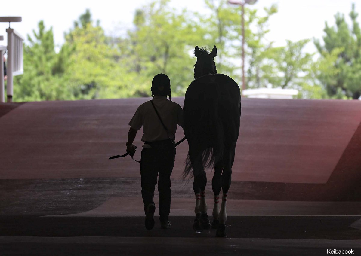nakauchida_s's tweet photo. 酷暑の競馬
https://t.co/dq0RsmF5Wj https://t.co/4OnAcqouSP