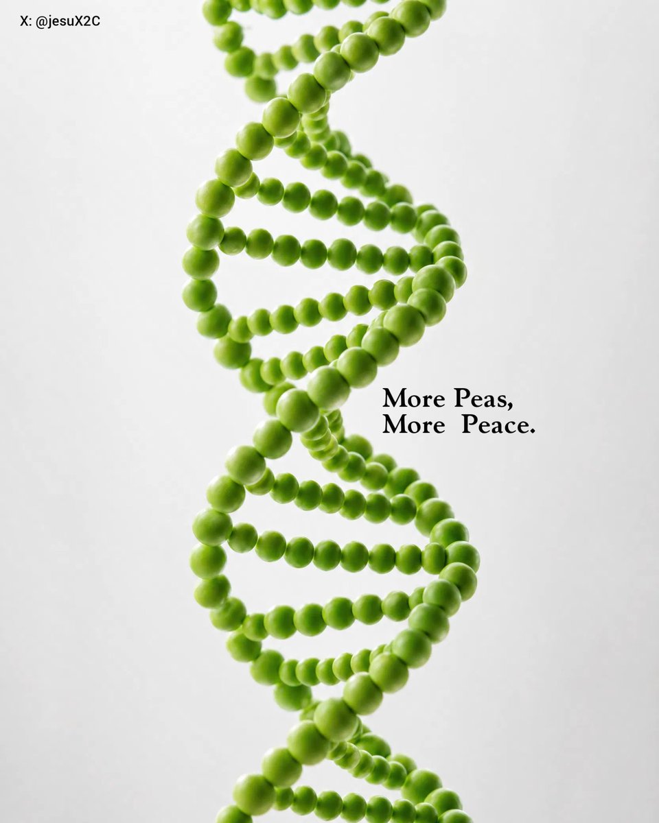 jesuX2C's tweet photo. DNA advertise  idea for  #PEAS 🫛 https://t.co/gEORlrstkX