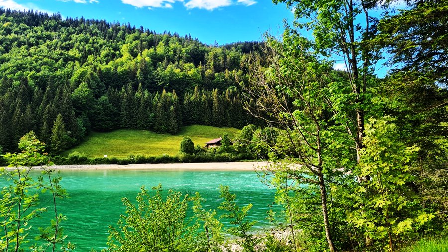 Greenisamissio1's tweet photo. We need more forests and parks:

"Studies suggest that accessible natural areas are a serious resource for improving mental health in our rapidly urbanizing world," writes Hiroko Ochiai of the National Health Organization of Japan. 💚☘️🌱🌿🌳🌲🍀💚 https://t.co/wzI01yaKfD