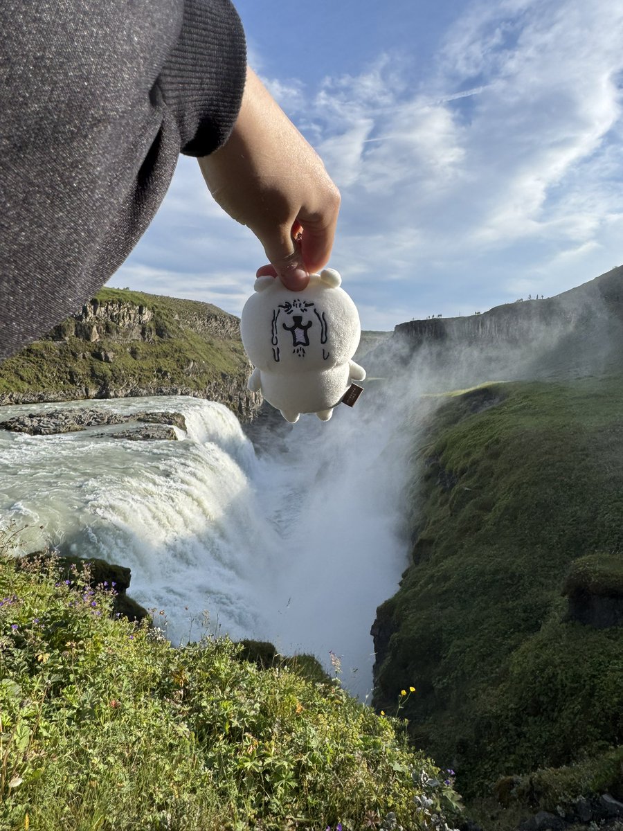jiraiphantom's tweet photo. Joke bear in more situations https://t.co/tqP1TgCQEM