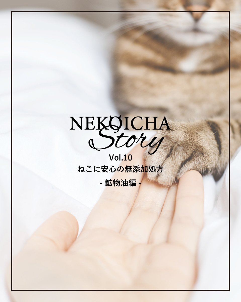 nekoicha's tweet photo. ねこいちゃ ストーリー💛Vol.10
「ねこに安心の無添加処方 -鉱物油編-」  

「ねこいちゃ ストーリー」では、
ねこいちゃにまつわるさまざまなことを共有しています🐈

公式ブログでも公開中✨ https://t.co/NkRWvXgA79 
よろしければ、ご覧ください😊

#ねこいちゃ #ねこいちゃストーリー https://t.co/OebFZmjJUQ