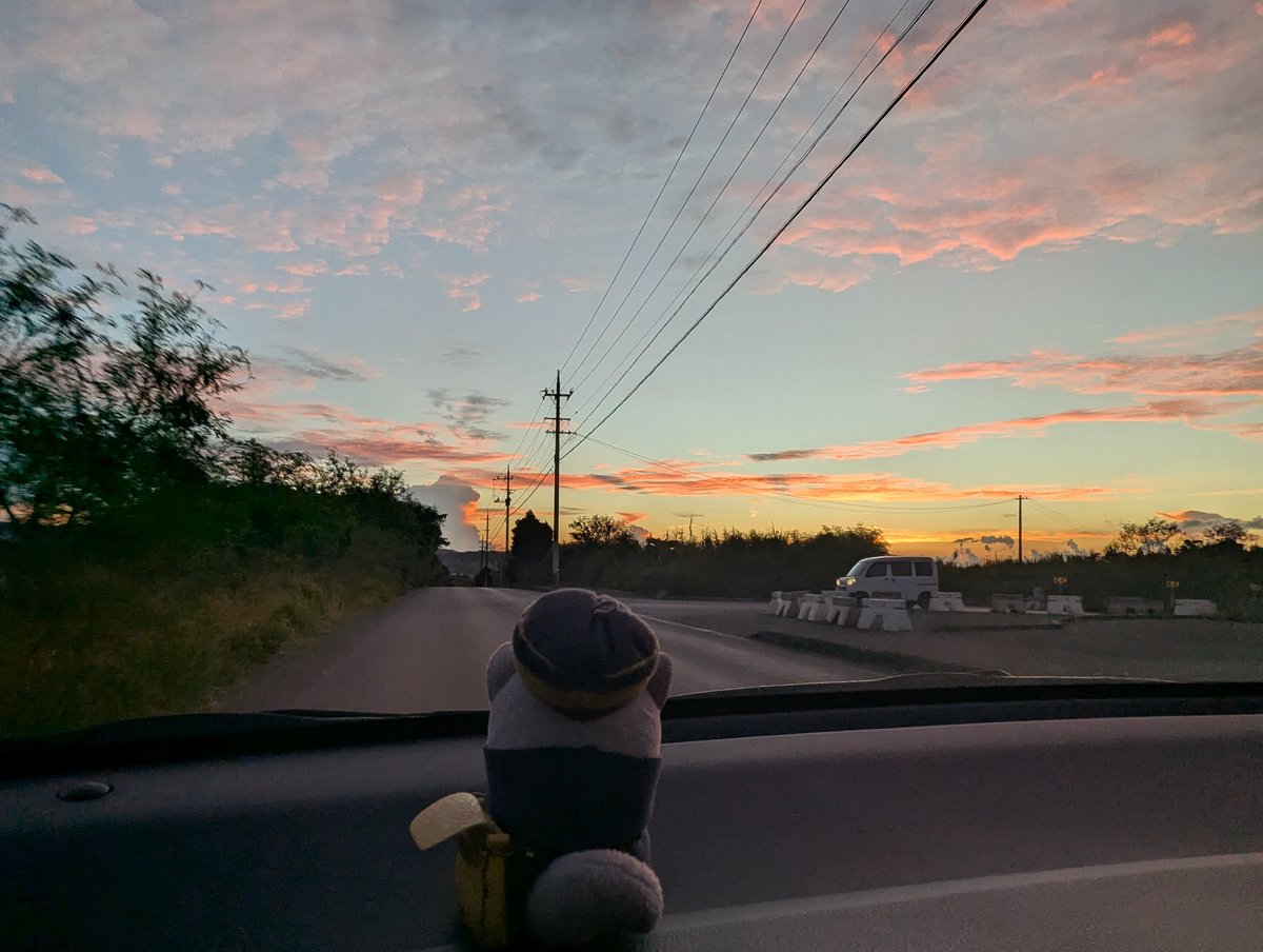 aaakoof0817's tweet photo. 今朝の散歩は早起きして少し足を伸ばして、日の出を見に行きました🌅
今日は帰る日です。
あっという間ですね…😢
（あさひがとてもきれいです） https://t.co/2nnvATFiPQ