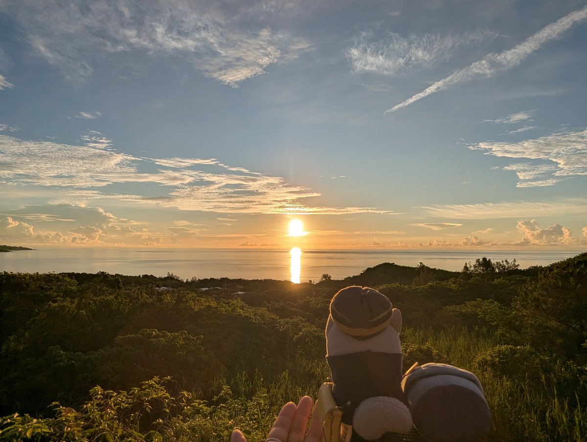 aaakoof0817's tweet photo. 今朝の散歩は早起きして少し足を伸ばして、日の出を見に行きました🌅
今日は帰る日です。
あっという間ですね…😢
（あさひがとてもきれいです） https://t.co/2nnvATFiPQ