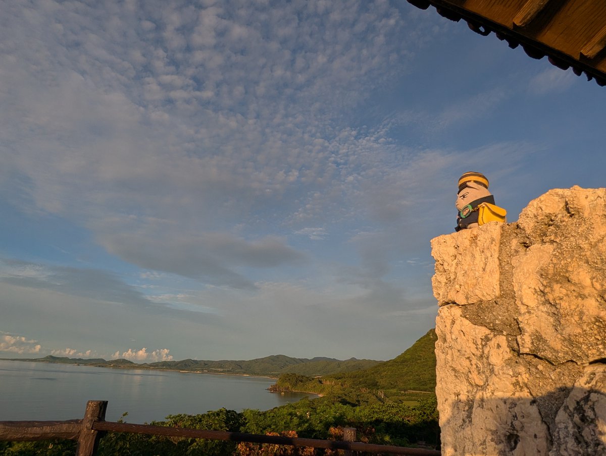 aaakoof0817's tweet photo. 今朝の散歩は早起きして少し足を伸ばして、日の出を見に行きました🌅
今日は帰る日です。
あっという間ですね…😢
（あさひがとてもきれいです） https://t.co/2nnvATFiPQ