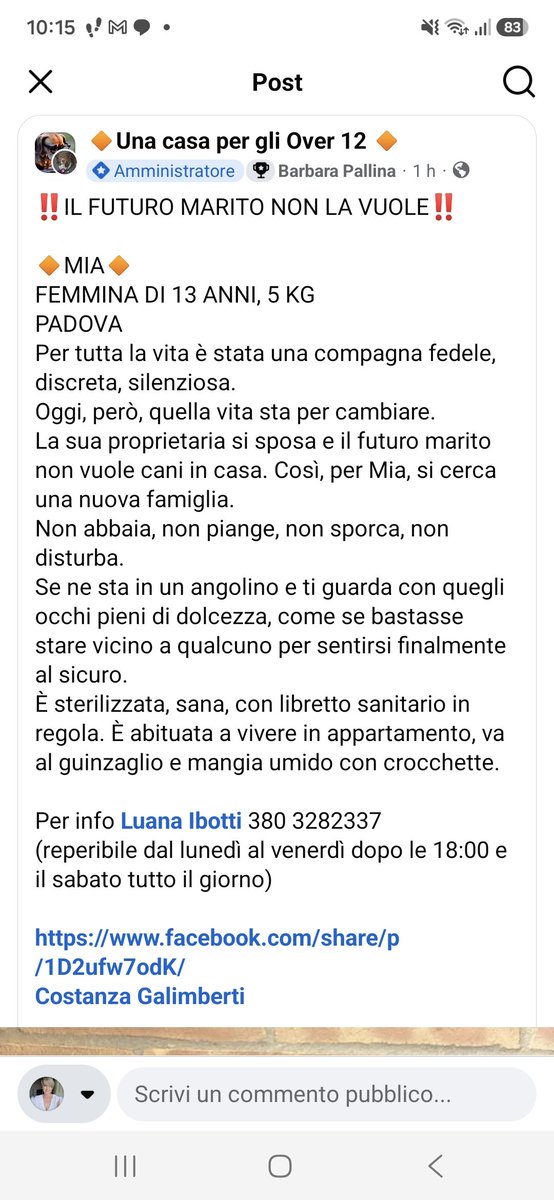 CuoreIschitano's tweet photo. Si sta per sposare, il futuro marito non vuole in casa la sua cagnolina di una vita... 13 anni... e lei che fa? La porta in canile! Vi auguro il peggio a entrambi! Aiutiamola! Se non puoi adottare 💔 RiTwitta @WAL_Italia @peraiutare @adozioneanimali @peraiutare @AdottaC 🆘️🆘️ https://t.co/30rx56RCZs
