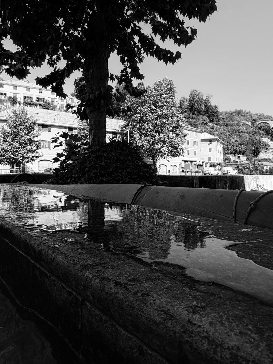 Alonein43672278's tweet photo. #photography #blackandwhite #tree #puddle #reflex #trees https://t.co/l2ViFlT74E