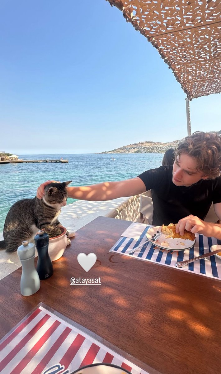 pazarverttesi's tweet photo. o ve kedi sevgisi 🐈🫠 https://t.co/HelMJFNPIY