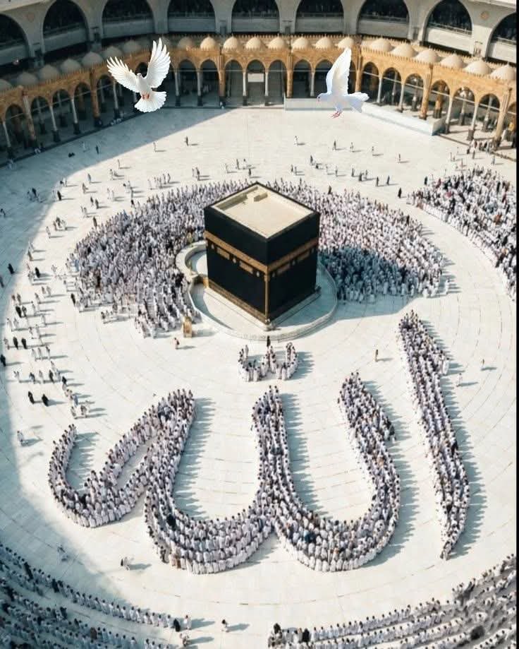 ⨳𝓟𝑇ℋ𝓐𝓝⨳ tweet media