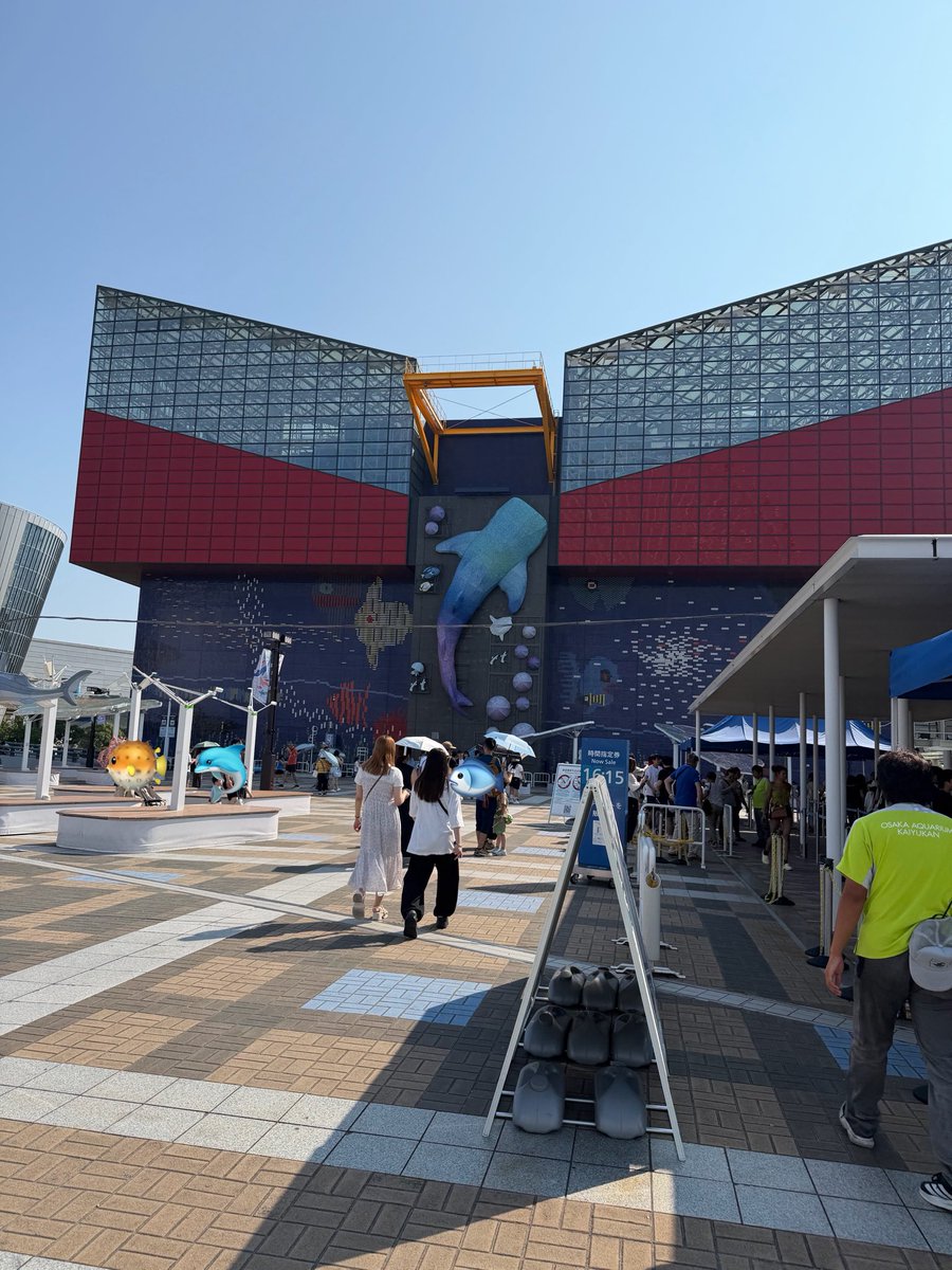 iorimoe_five's tweet photo. 先日お仕事で大阪に行く機会があったので、海遊館に行ってきたよ！
ジンベエザメはもちろん、5.6月に産まれたばかりのミナミイワトビペンギンの雛達に会えて嬉しかった！
ふわふわだったよ〜🪶 https://t.co/V3B9rjxW1s
