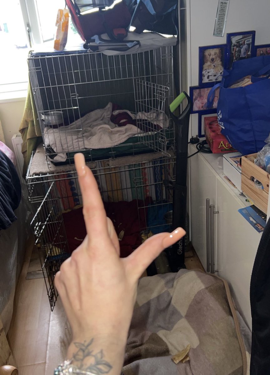 GoddessMeg1994's tweet photo. You deserve a crated dog bed, a firm collar grasped around your neck and bruises littering your knees.
Bark for me while you send to me bitch 🙇‍♂️👸🏻

https://t.co/8LRF2ROROv

findom pegging paypig cuck humanATM slave drain bratty cashcow femdom #findom #femdom #cuck #worship #sissy https://t.co/Wuugs8tGZE