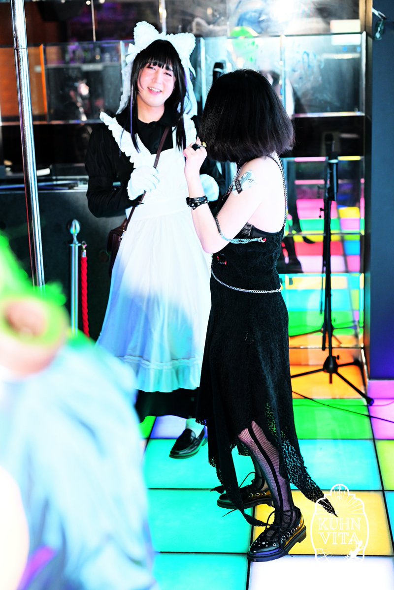guutara_madecho's tweet photo. にゃーもいっぱいいるにゃー(*ﾟ▽ﾟ*)✨ https://t.co/t6nF6soquo
