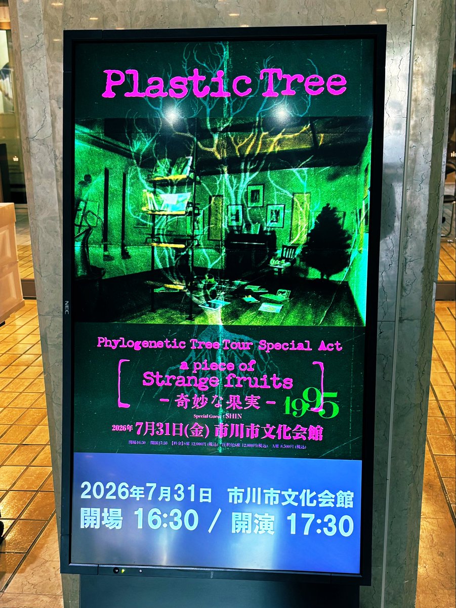 n_ma2i's tweet photo. 祭りからのストレンジフルーツ
とんでもない2日間だ…令和とは😂 https://t.co/FFDtvL7hXe