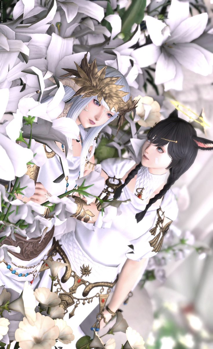 Yuki__Mochizuki's tweet photo. ちーさんとSS撮りに行ってきました🪽

これはムスッとしてるアウラさんに驚くちーさん https://t.co/ZFzpaZnUwG
