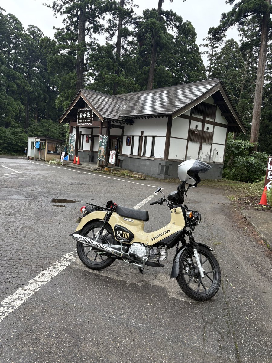 akitie's tweet photo. レンタルのクロスカブで羽黒山👺
めちゃ涼しい https://t.co/fVwOJ6YjUG