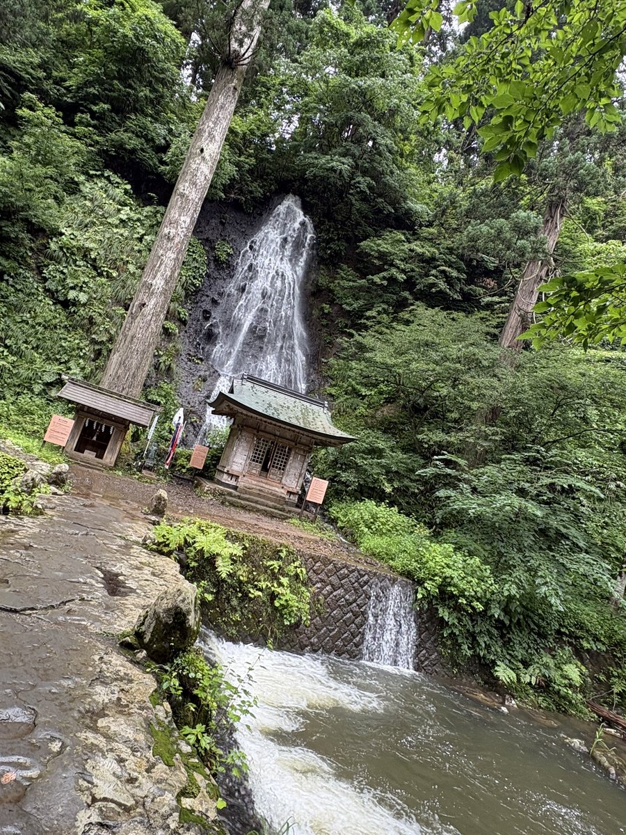 akitie's tweet photo. レンタルのクロスカブで羽黒山👺
めちゃ涼しい https://t.co/fVwOJ6YjUG
