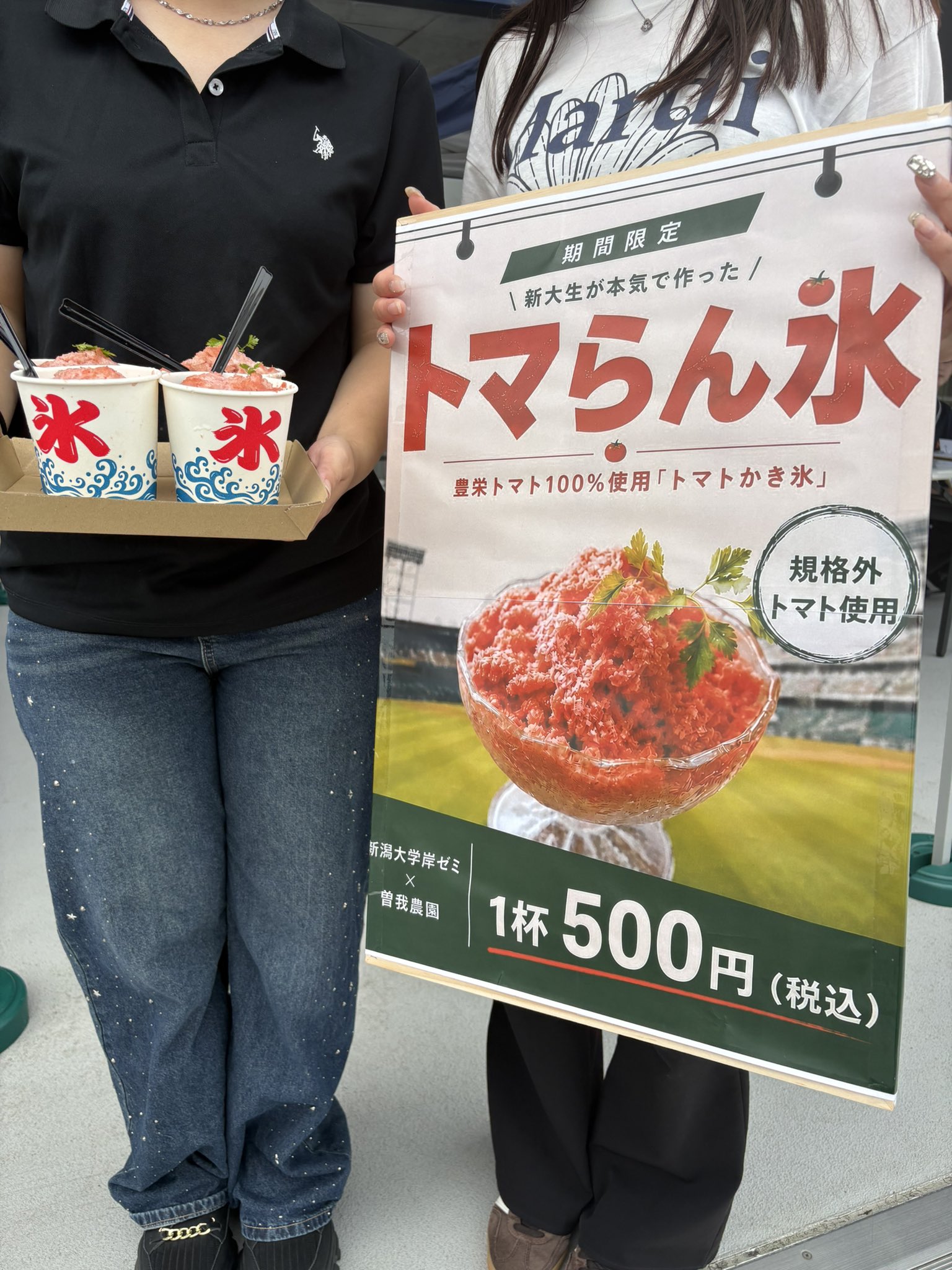 【今年も残り2ヶ月】❶白水晶の干支おうまちゃん形オルゴナイト☆他１点 オイシックス新潟アルビレックスBC【公式】 on X: 