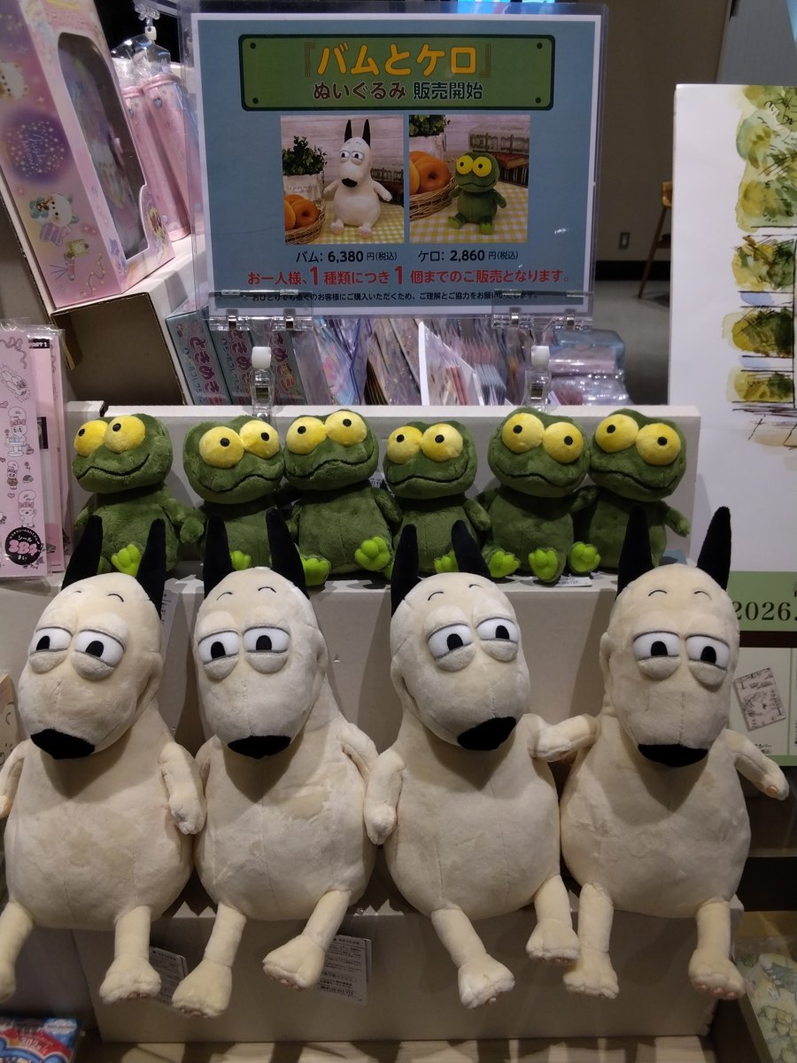 バムケロぬいぐるみ入荷！！／ 毎回大人気の「バムとケロのぬいぐるみ