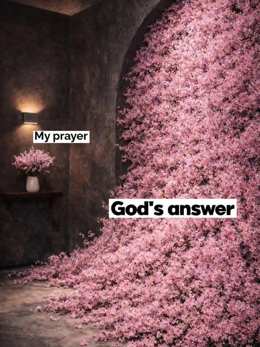 Dearme2_'s tweet photo. God’s answer is always the best. https://t.co/9j7hcNXIwJ