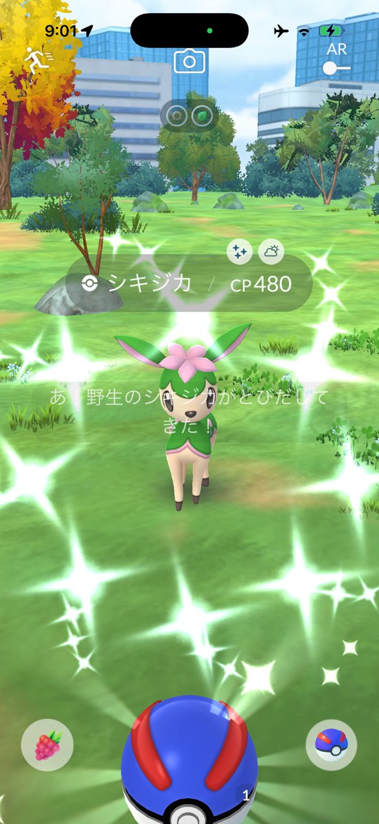 pokemonogakari1's tweet photo. ๐คฉ๐คฉ๐คฉ๐๐๐๐๐๐
ใใฃใโจโจโจ
ๅคใฎ้นฟ๐ ใฏใใใฆ
#PokemonGO #shiny #my1st #ใทใญใธใซ https://t.co/XVD2UbSlKI