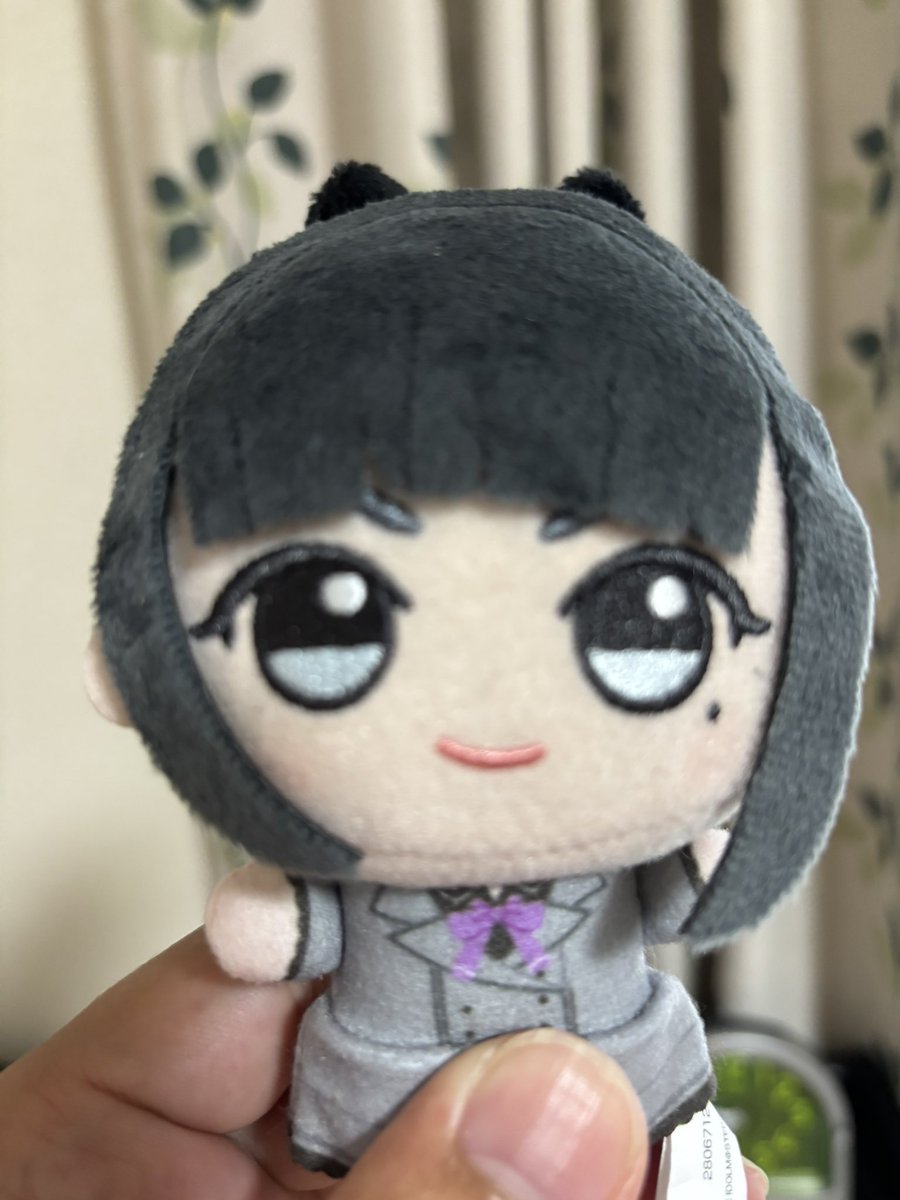 kiryu926's tweet photo. 今月はリーリヤと燕先輩をお迎えしてひとまず全キャラ揃いました🧸ぬいを置くスペースと新しいぬい服購入が来月の目標🥅

#今月のぬいデミー賞 
#初星学園ぬいぬい部 https://t.co/XTyIX5Hm00