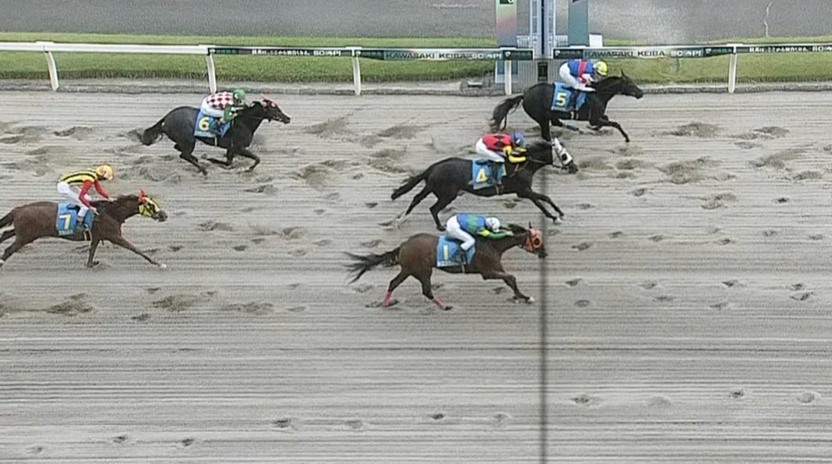 sasuke0319's tweet photo. 福ちゃん🧡最後方からの追い上げ‼️🏇💨✨💨凄かった😳🙌🙌
カッコイイ走り😎✨そして無事に🙏ありがとう😭😭💕
タオル振って(T^T)ながら応援ꉂꉂ📣✊✊次走も楽しみにしています😊
ドコフクカゼ号🏇💨🧡改めて🙇‍♀️
デビュー✨おめでとう❣️🎉💐㊗️👏👏👏٩( *˙0˙*)۶🧡 https://t.co/iPZycW0HBC