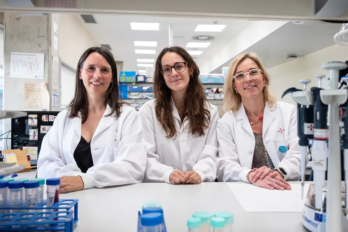 idibaps's tweet photo. @hospitalclinic @la_marato @perezgalan_p @GuedanS @araujo_ferran 🆕Una nueva terapia #CART de doble diana mejora el control del linfoma folicular en modelos preclínicos
✔️Un estudio del #CLÍNIC-#IDIBAPS ha identificado CD70 como un nuevo marcador ✔️Basándose en ello, han desarrollado un CAR-T dual contra CD19 y CD70
👉https://t.co/tZPd4N9D6N https://t.co/HKSn8x2rpR