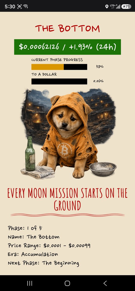 Dog tweet media