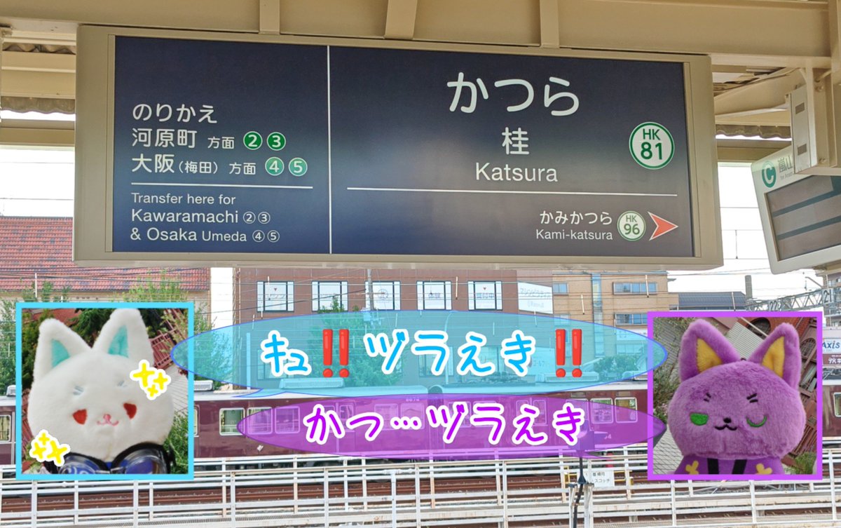 Sakurasaku_mei's tweet photo. 電車の発車が早くてお写真取れなかった😭

🍓ｷｭ‼️ヅラえき‼️
🦋かつ…ヅラえき https://t.co/B2BTn63I3C
