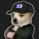 TrolKeno's tweet photo. 73YW8Ka2EuvtcU66HP1entz456Dgwz8WKW7bVDMxpump

Fomocat hit 500k.

Fomodog is from the same dev — just bonded.

Now we’ve got a clean meta from the same dev, and CT will have to choose which one becomes the ultimate FOMO animal. https://t.co/eF0kt9wIwd