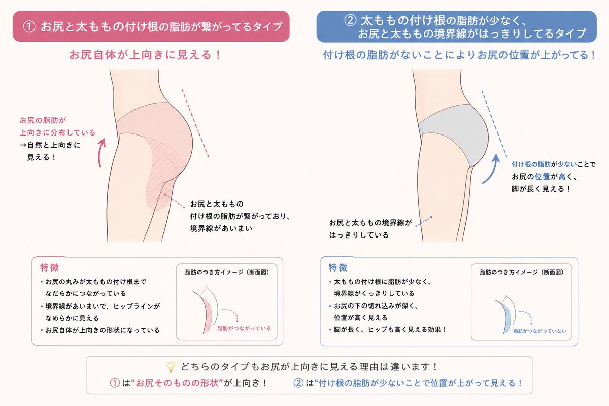 noechinosub's tweet photo. これ、図でわかりやすく解説するとこんな感じ‼️どっちが良いと思うかは人それぞれなのかな、グラマラスに見えるのは左、華奢に見えるのは右な気がする https://t.co/EHofBSJFZT