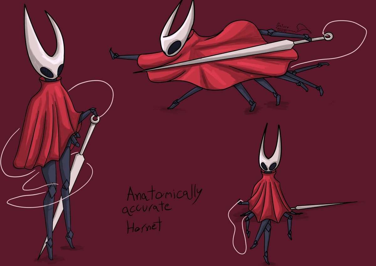 Saturn_sepehr's tweet photo. Anatomically accurate hornet (kinda)
changed my shading a bit :3
#HollowKnight #Silksong #krita #learningart #digitalart https://t.co/YlkZoRe0Mn
